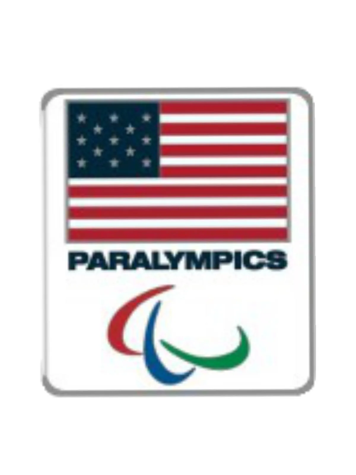 2016 Summer Paralympics Rio Brazil United States Flag Metal Lapel Pin