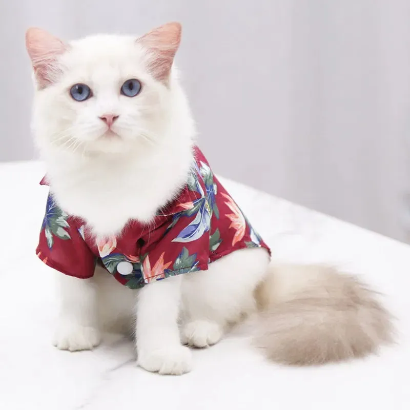 DAPPER Pet "Tropical Sweetie" Hawaiian Shirt