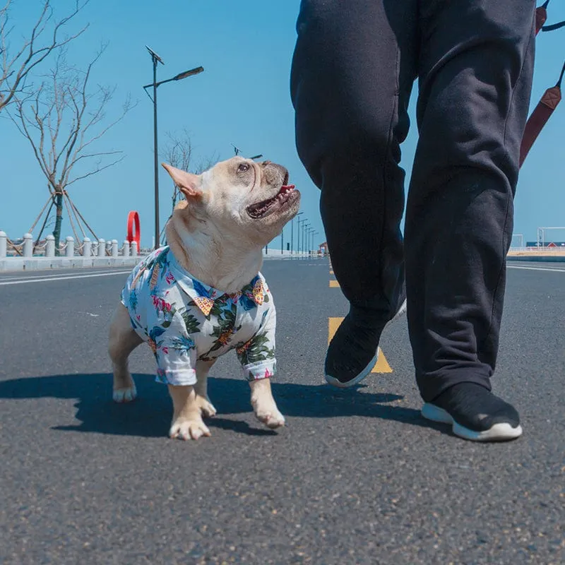 DAPPER Pet "Tropical Sweetie" Hawaiian Shirt