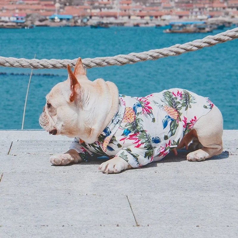 DAPPER Pet "Tropical Sweetie" Hawaiian Shirt