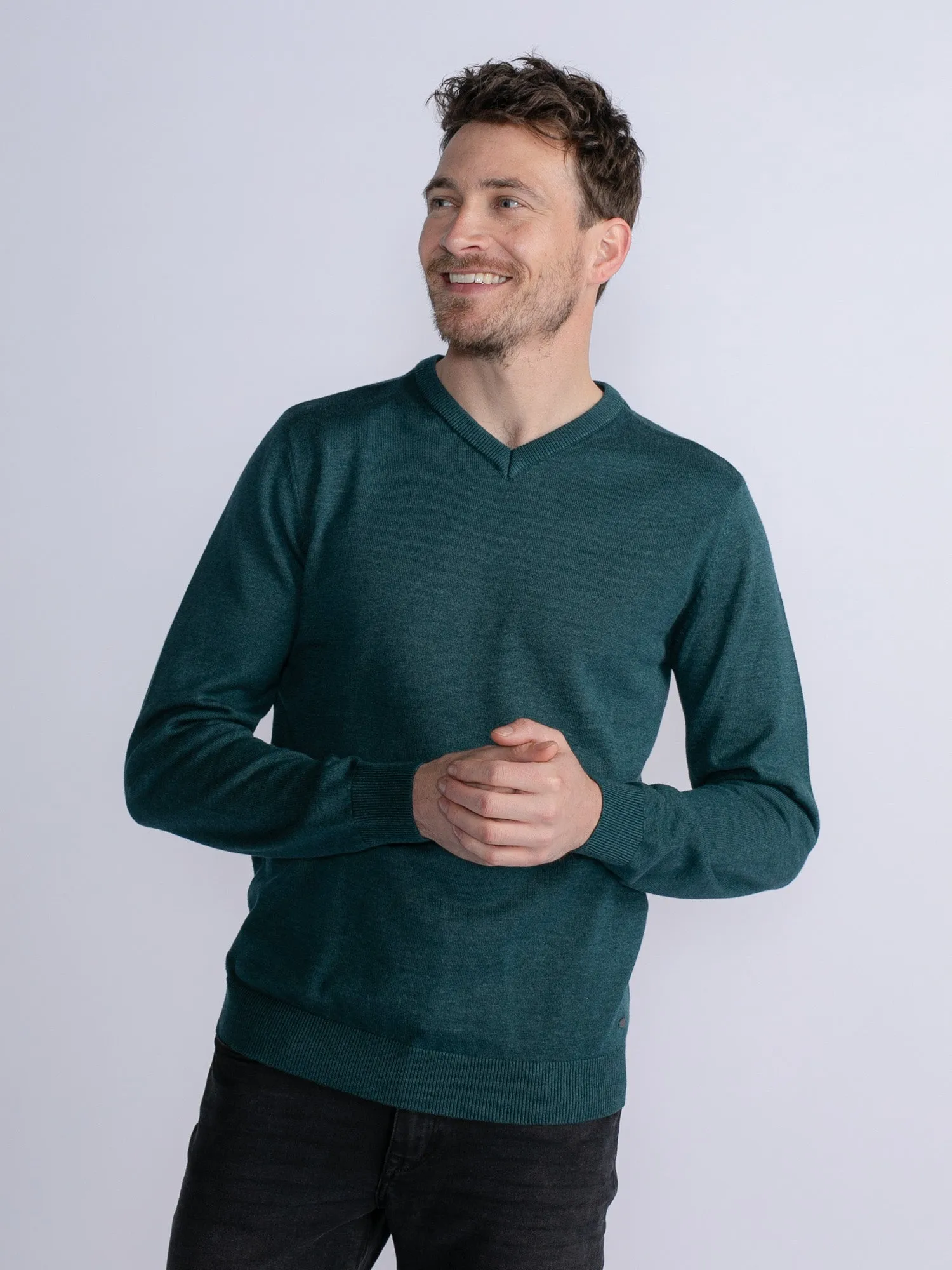 Fine-knit pullover Alton