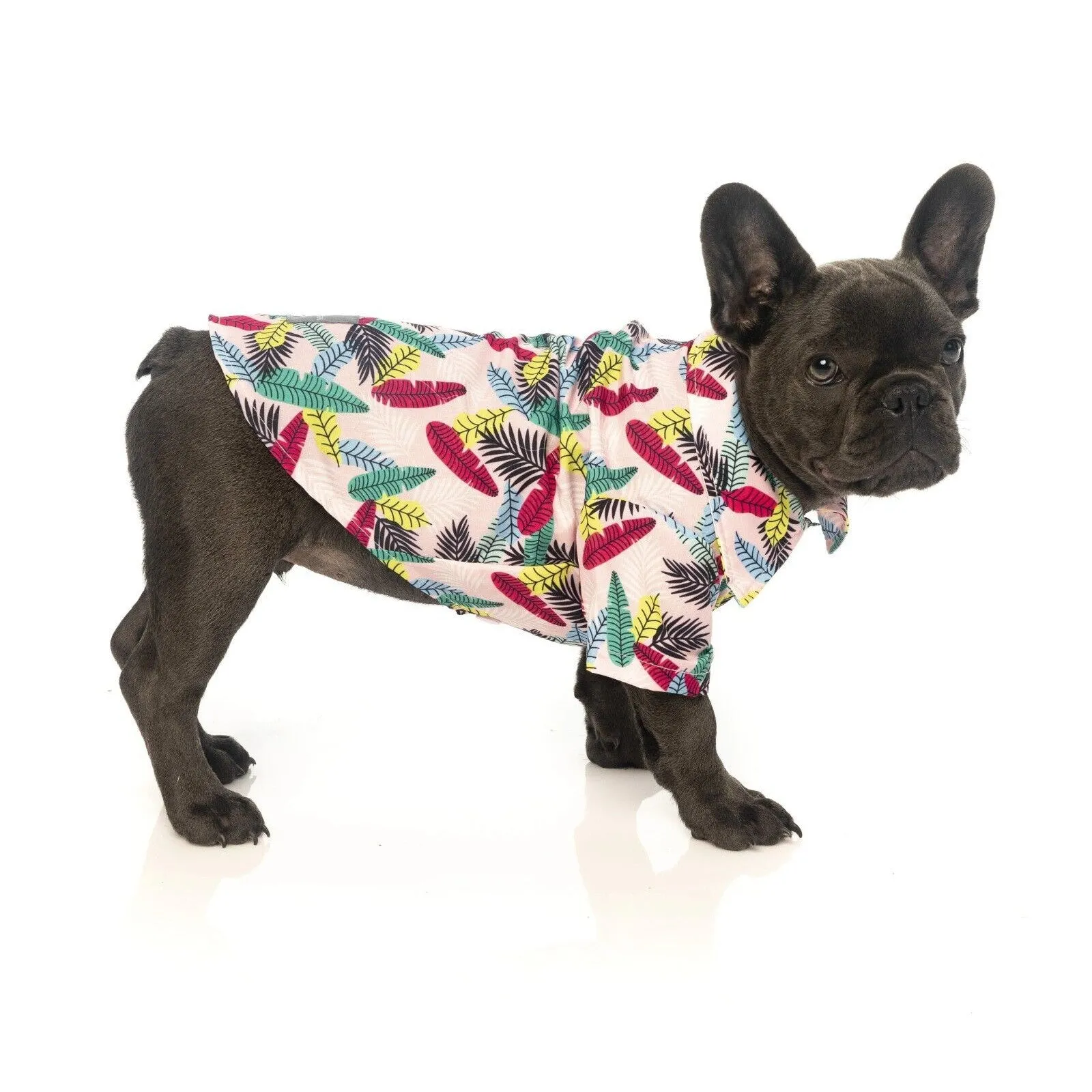 FuzzYard | Ohana Hawaiian Dog Shirt