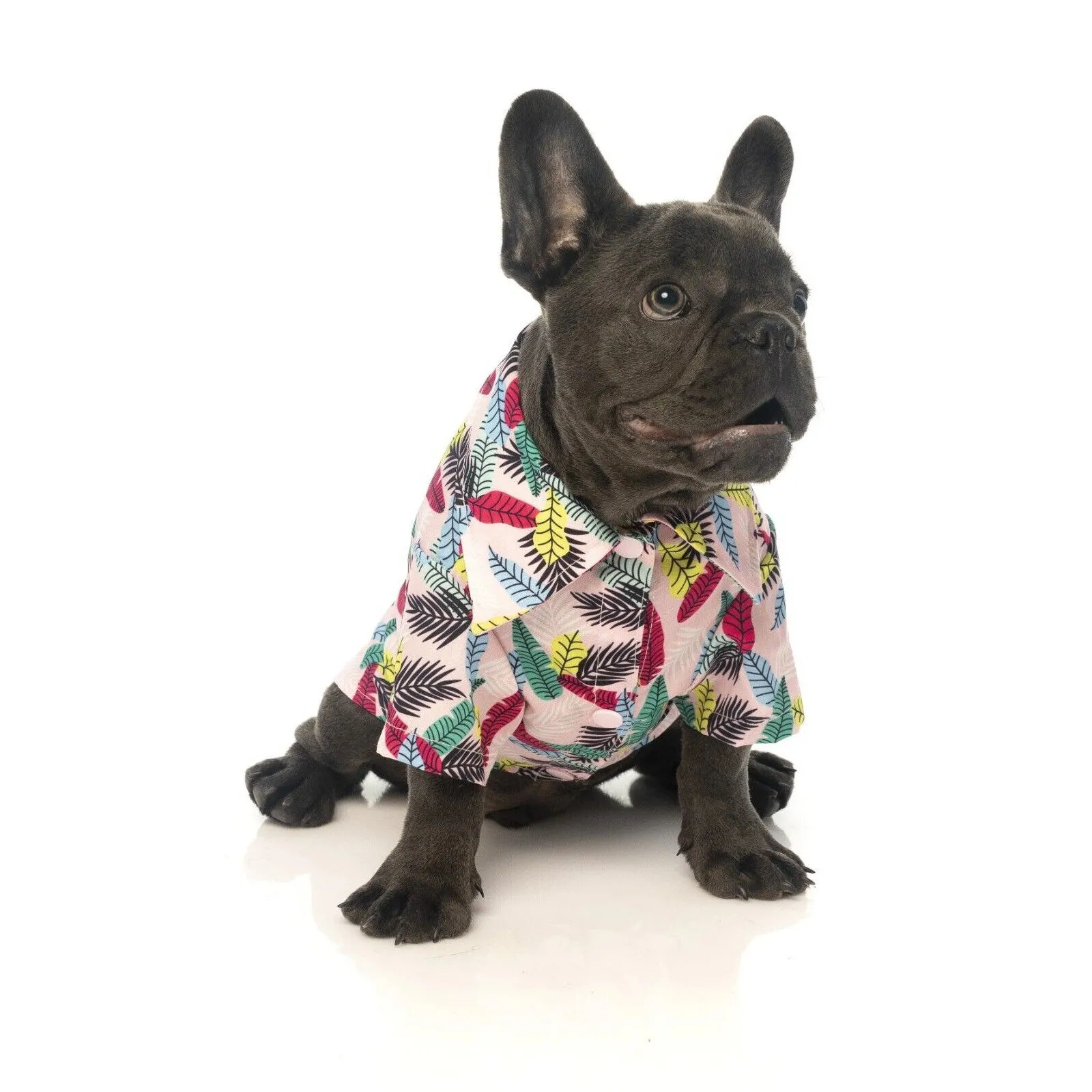 FuzzYard | Ohana Hawaiian Dog Shirt