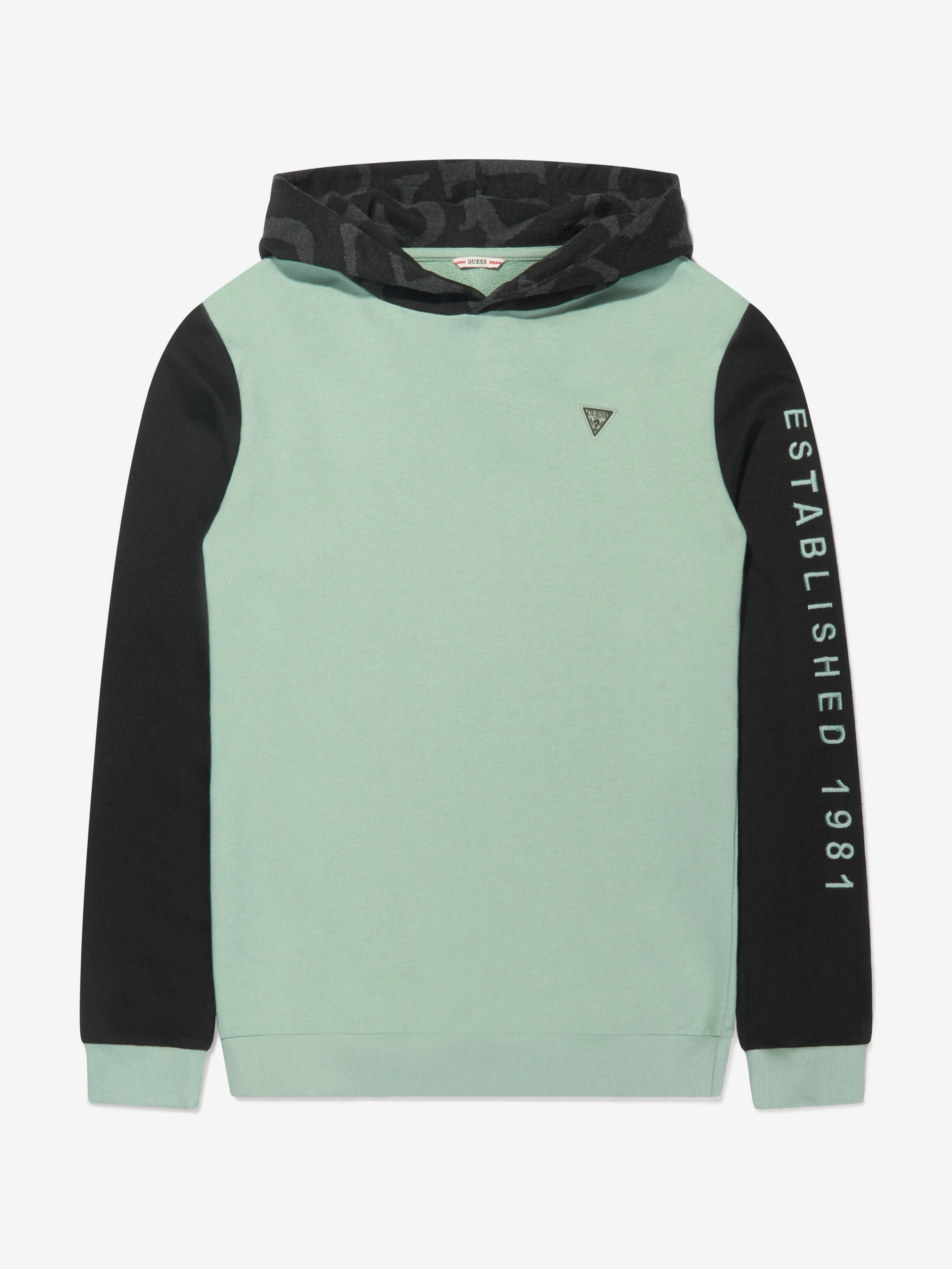 Guess Boys Logo Hoodie