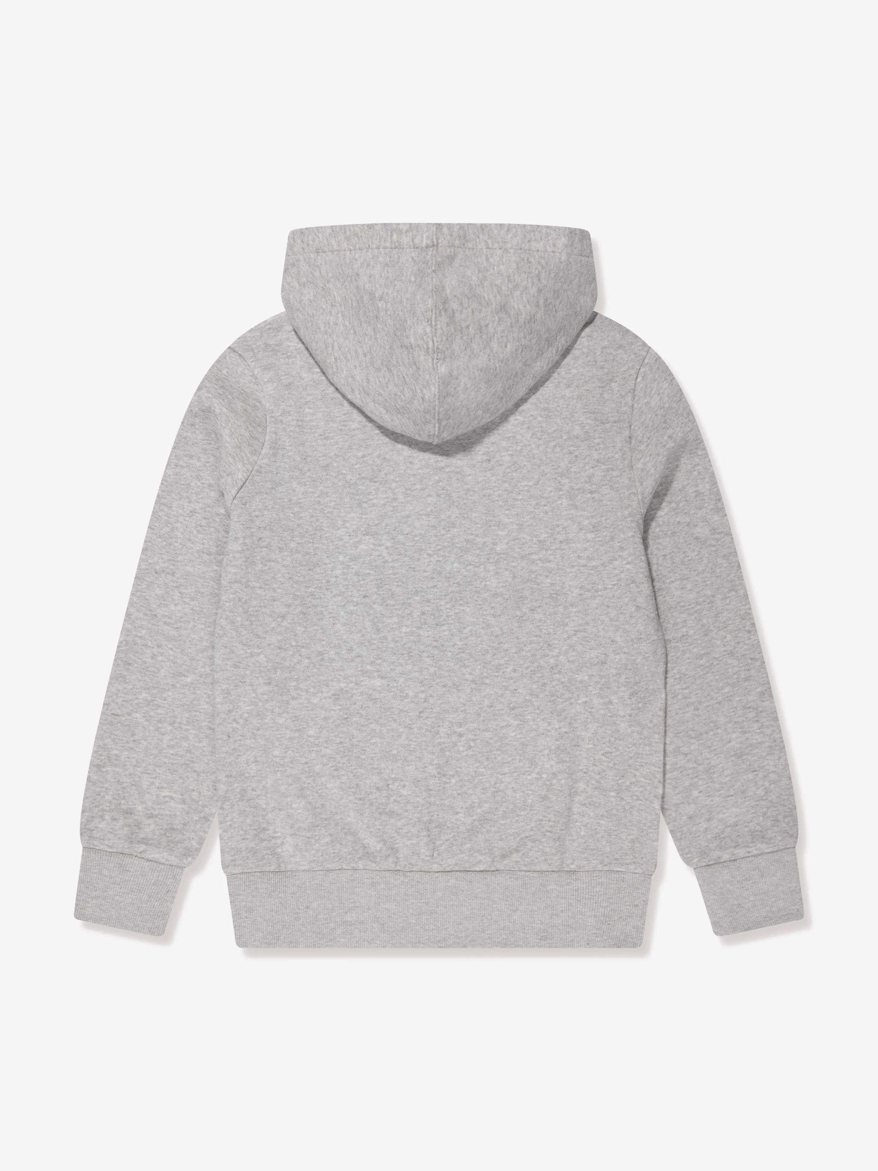 Levi's Boys Batwing Screenprint Hoodie in Grey