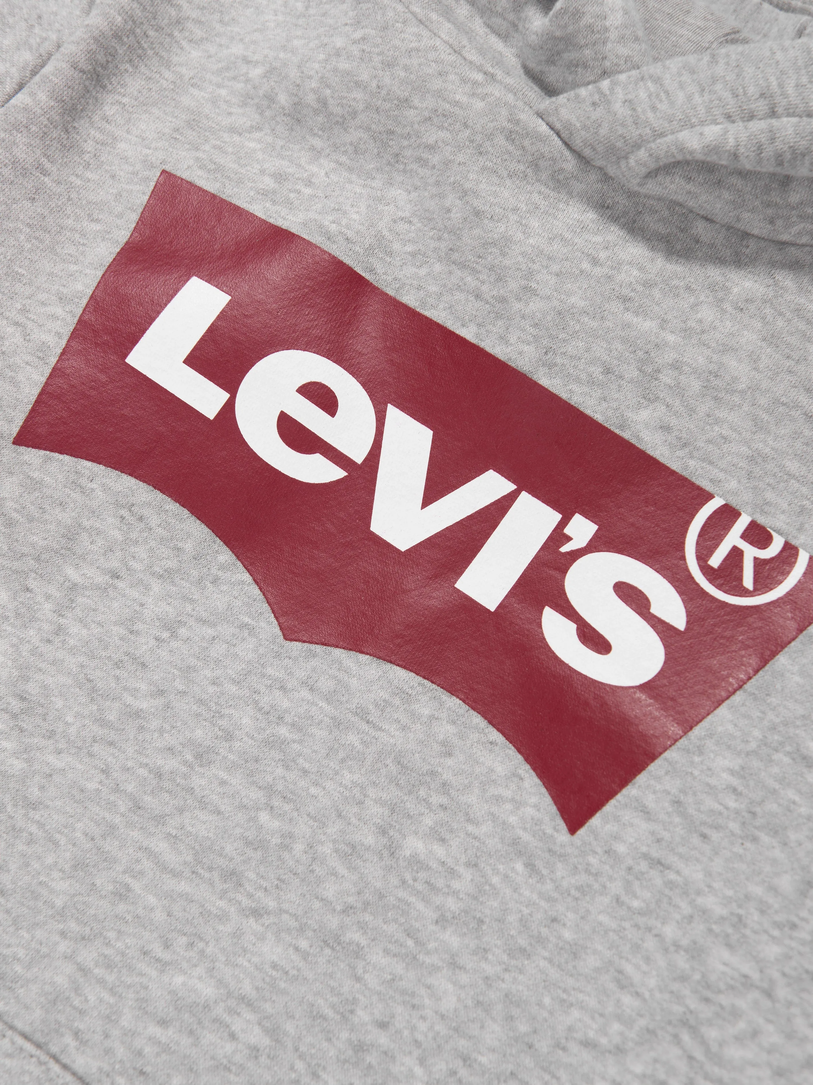 Levi's Boys Batwing Screenprint Hoodie in Grey