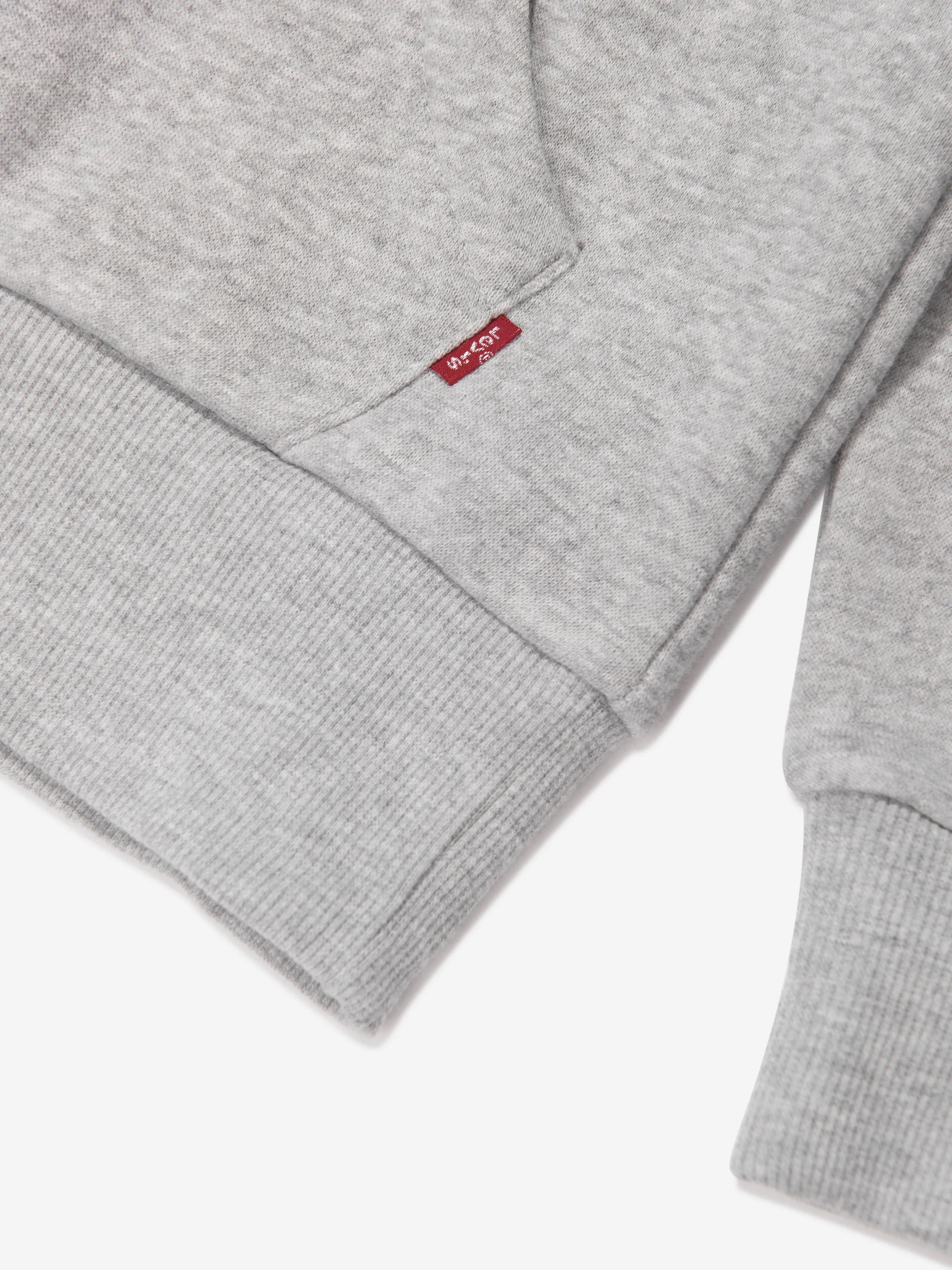 Levi's Boys Batwing Screenprint Hoodie in Grey