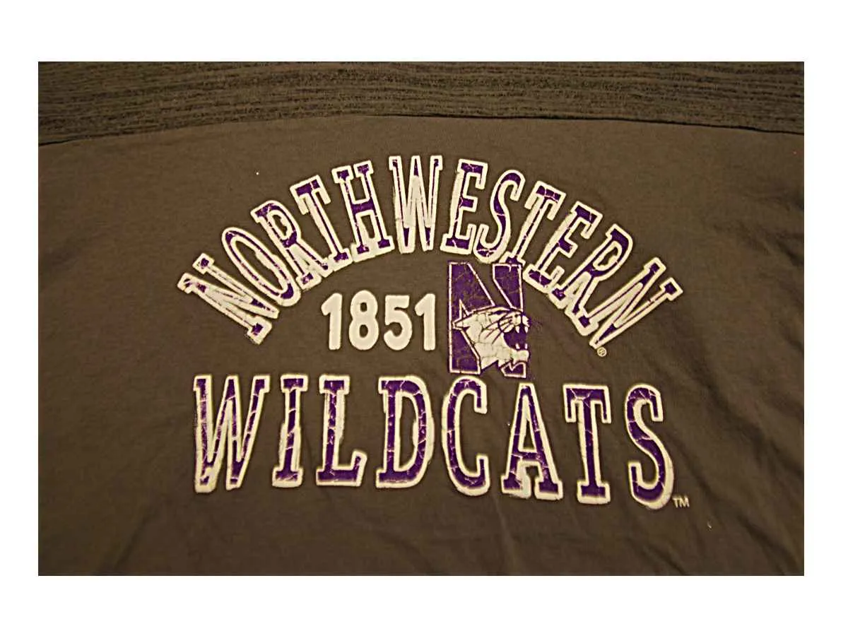 Northwestern Wildcats Blue 84 Women Gray Purple Short Sleeve T-Shirt (M)