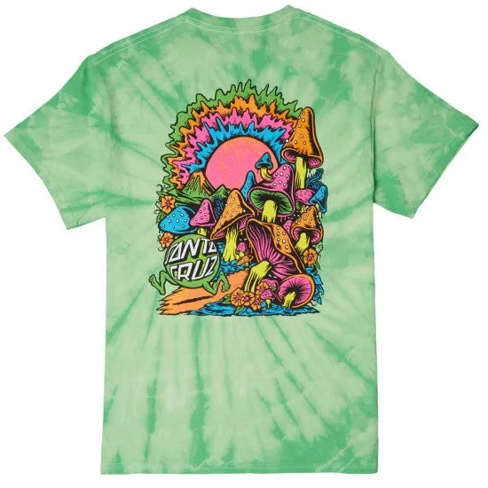 SANTA CRUZ T-SHIRT TOXIC WASTELAND SPIDER LIME